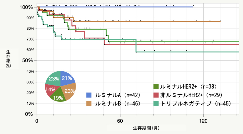 Stage 3 サブタイプ別術後生存率曲線　2011.4～2021.5 n=180＊
