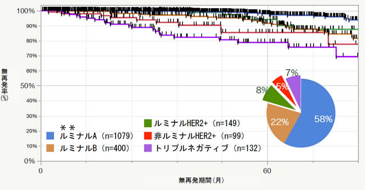 サブタイプ別術後無再発率曲線　2011.4～2020.5 n=1859＊