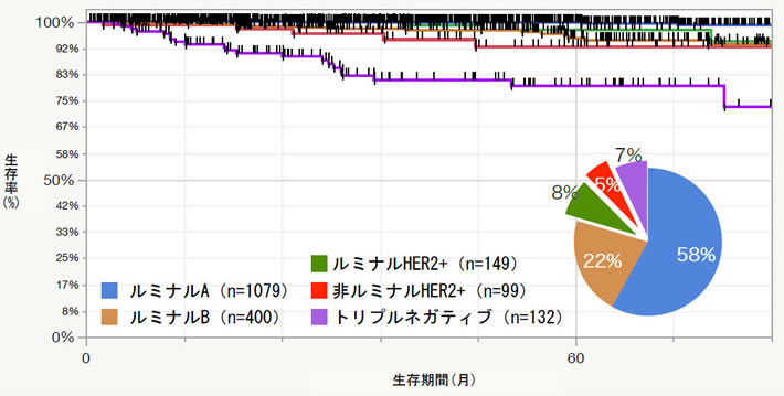 サブタイプ別術後生存率曲線　2011.4～2020.5 n=1859＊