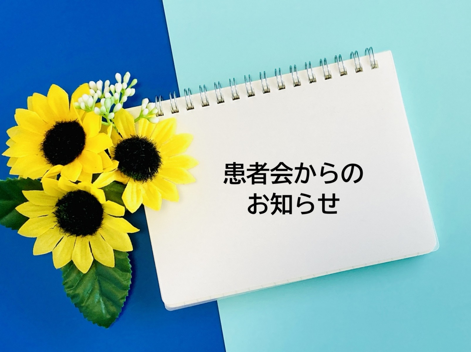 患者会からのお知らせ